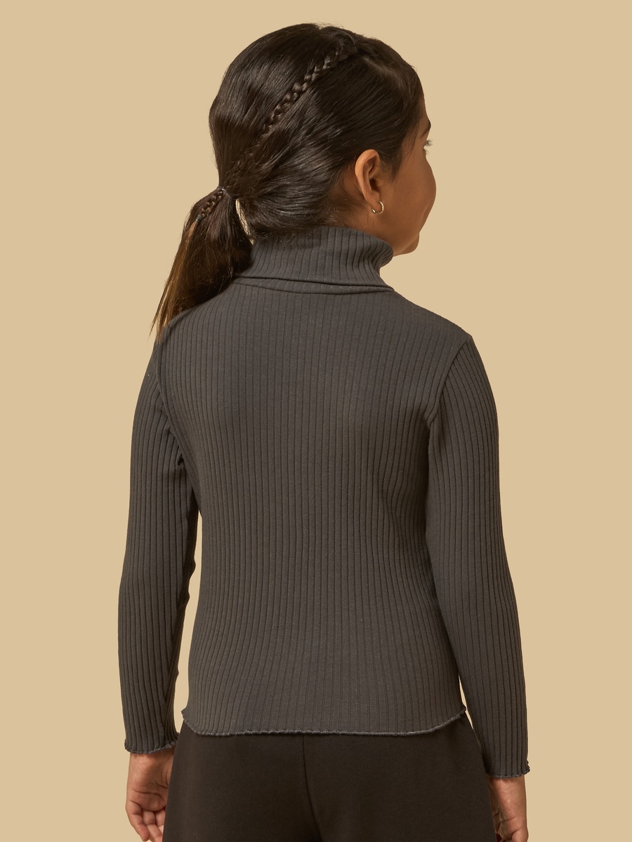 Ribbed Turtleneck Sweater