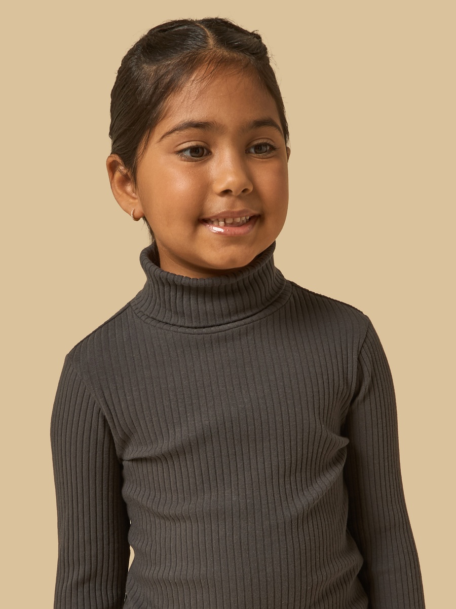 Ribbed Turtleneck Sweater