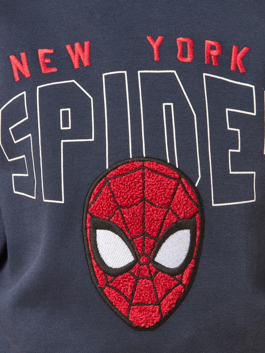 Spider-Man Print Sweatshirt and Joggers Set