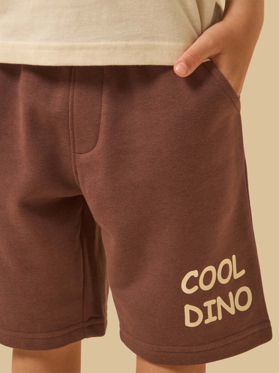 Dinosaur Print T-Shirt and Shorts Set