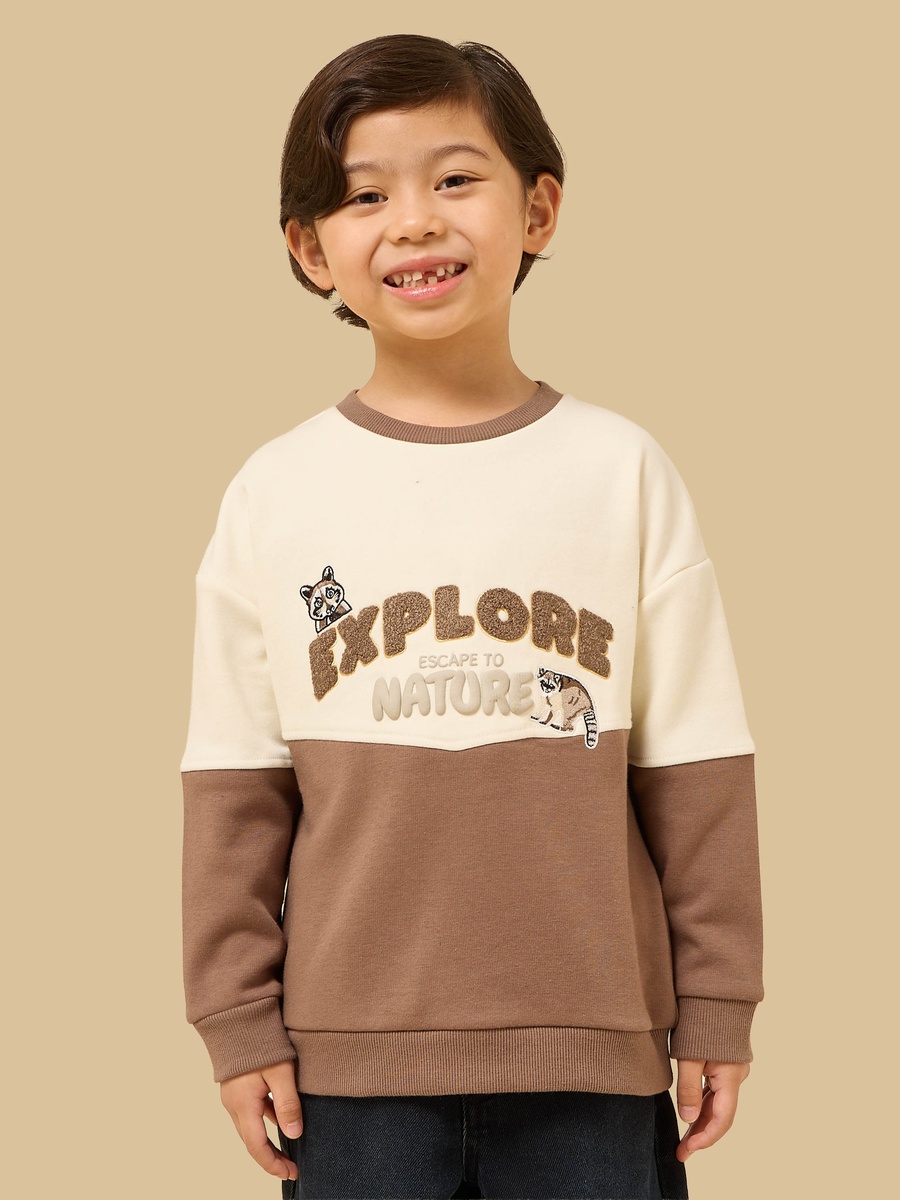 Colourblock Cotton Sweatshirt