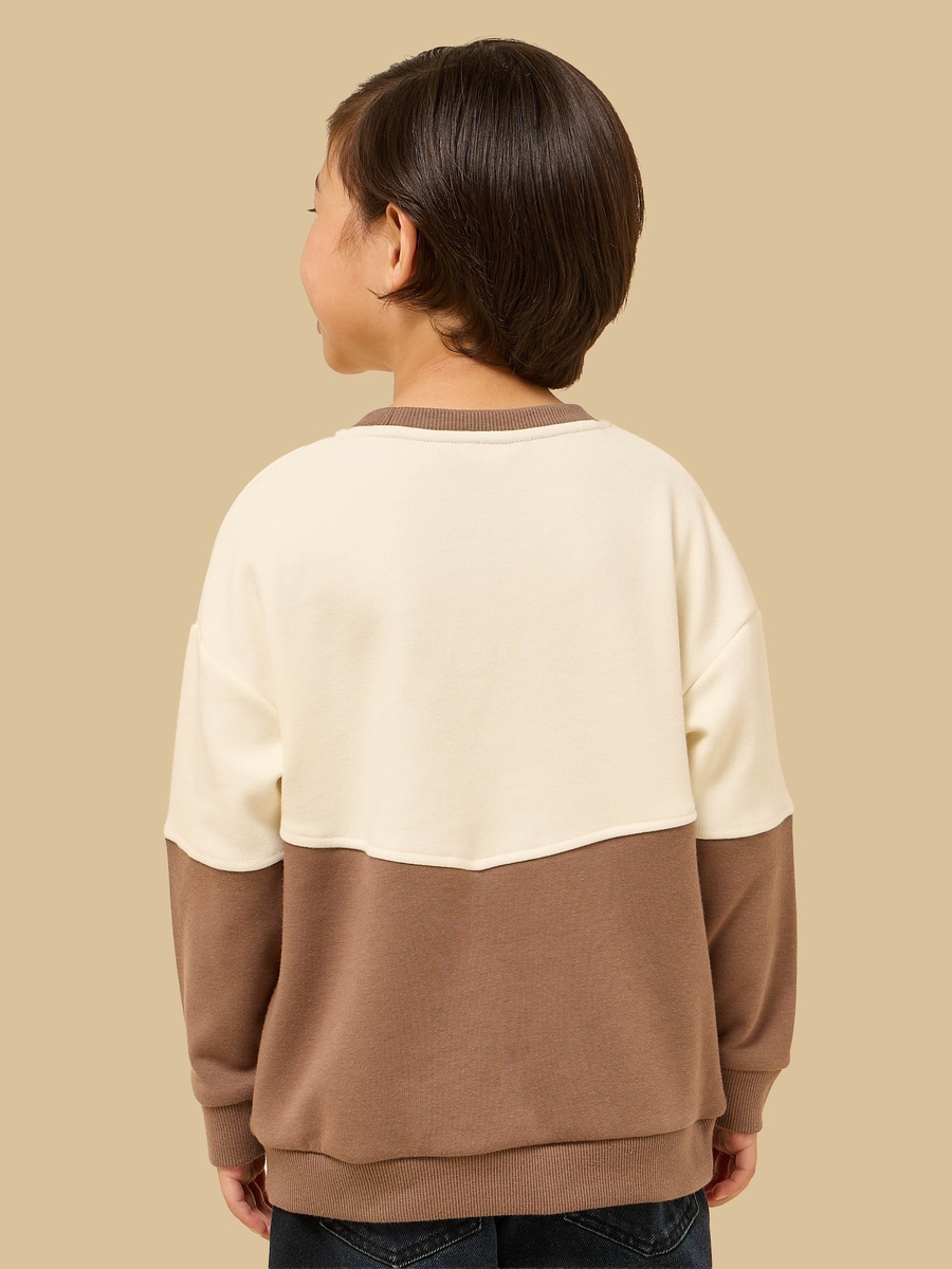 Colourblock Cotton Sweatshirt
