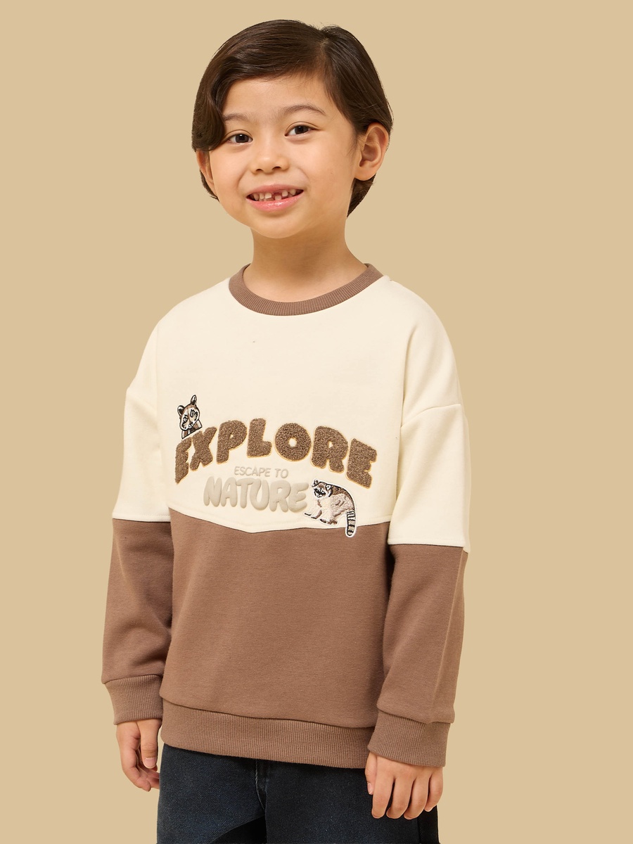 Colourblock Cotton Sweatshirt