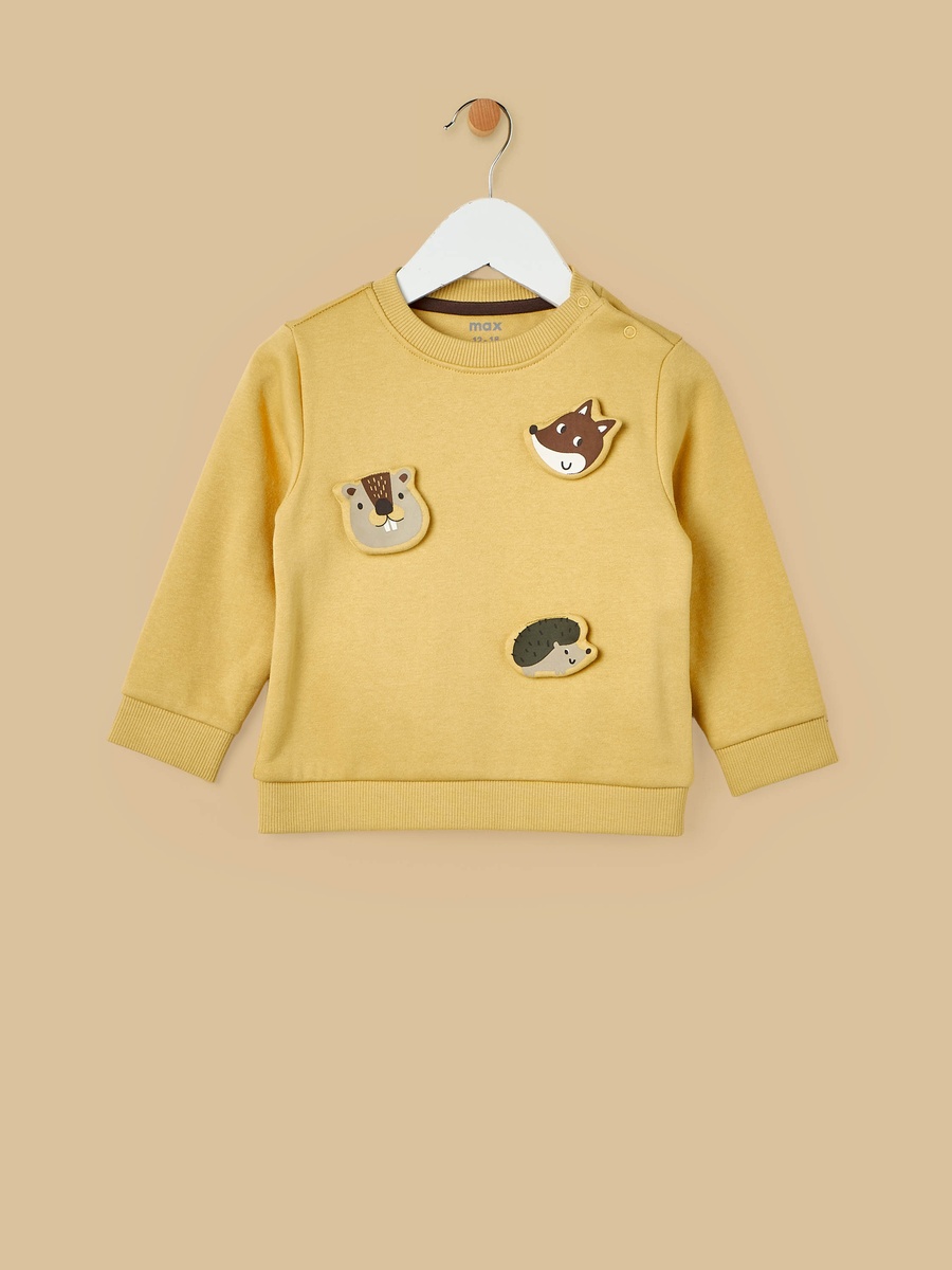 Pack of 2 - Embroidered Sweatshirt