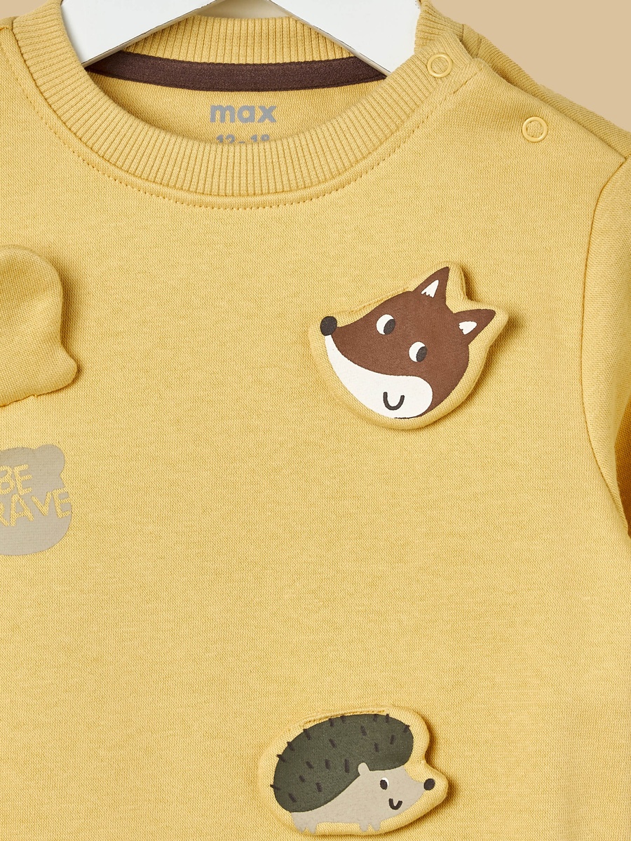 Pack of 2 - Embroidered Sweatshirt