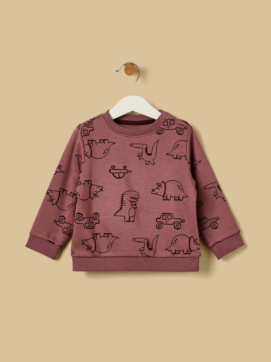 Pack of 2 - Dinosaur Print Sweatshirt with 3D Pocket