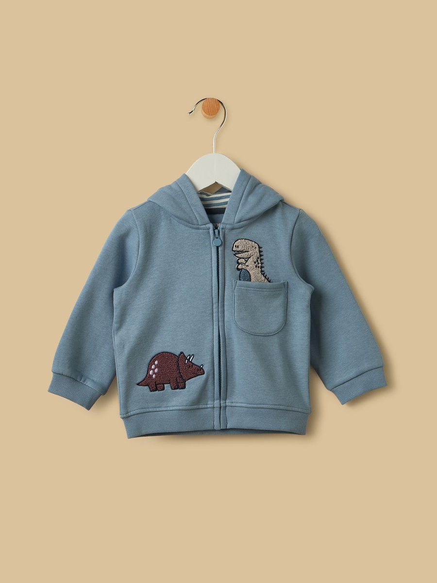 Dinosaur Embroidered Hoodie