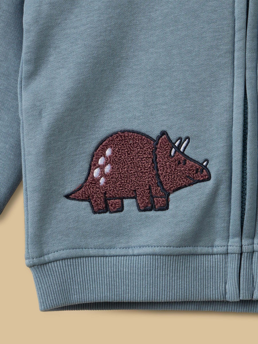 Dinosaur Embroidered Hoodie