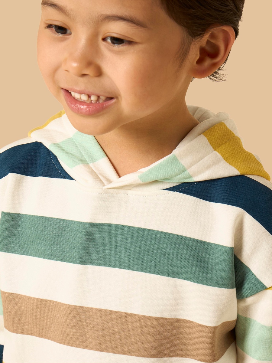 Striped Hooded Sweatshirt