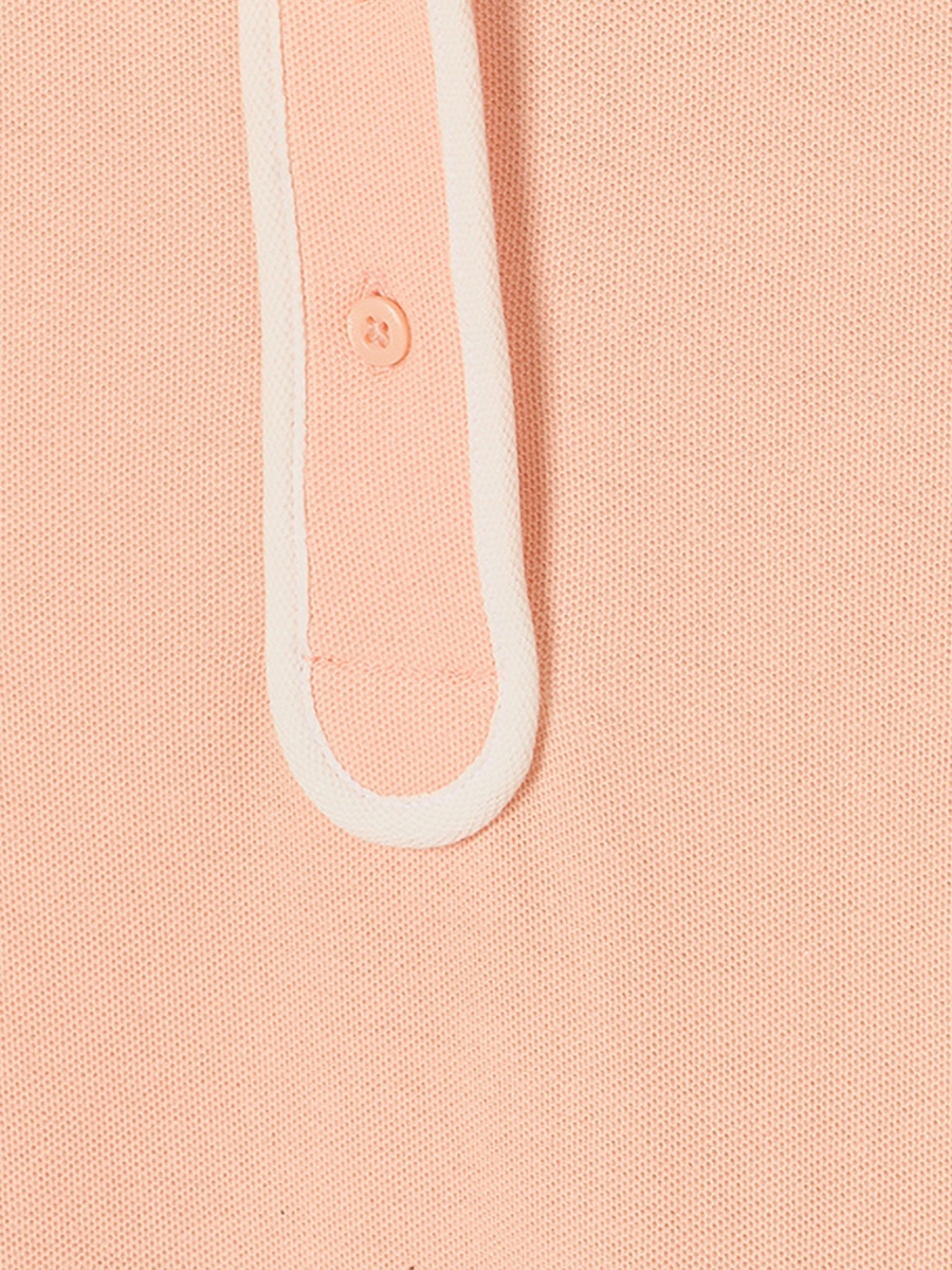 Collared Short Sleeves Knee Length Drop Waist Dress with Pleat Detail