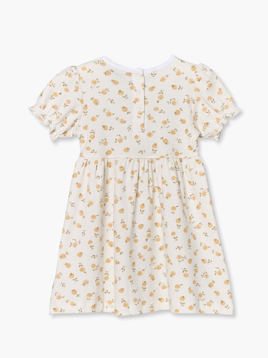 Pack of 3 Round Neck Knee Length A-Line Dress with Assorted Print