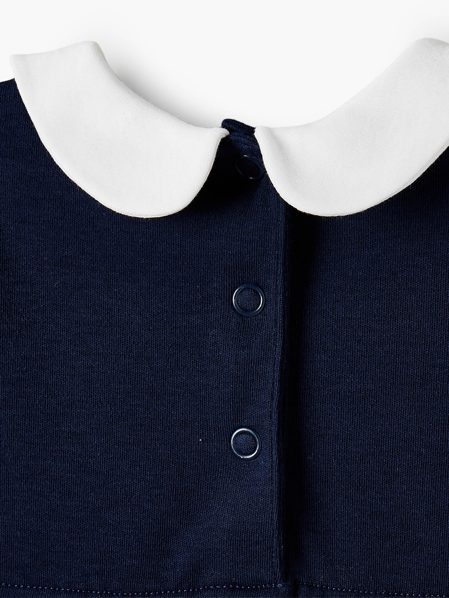 Peter Pan Collar Short Sleeves Knee Length Dress with Embroidery