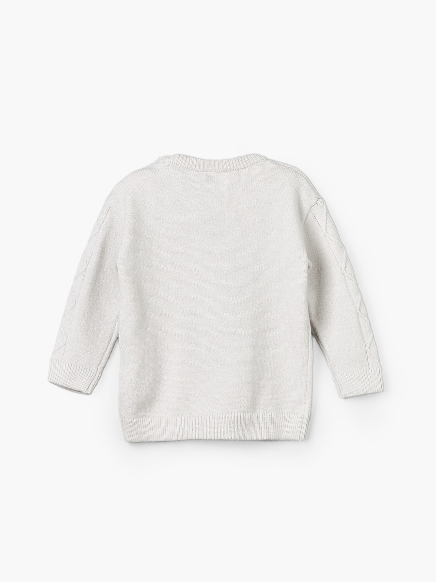 Crew Neck Sweater with Dinosaur Embroidery