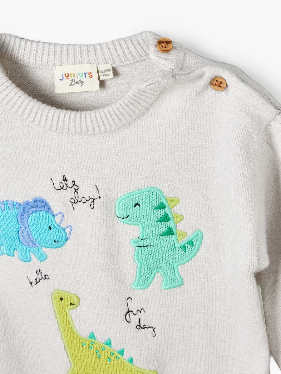 Crew Neck Sweater with Dinosaur Embroidery