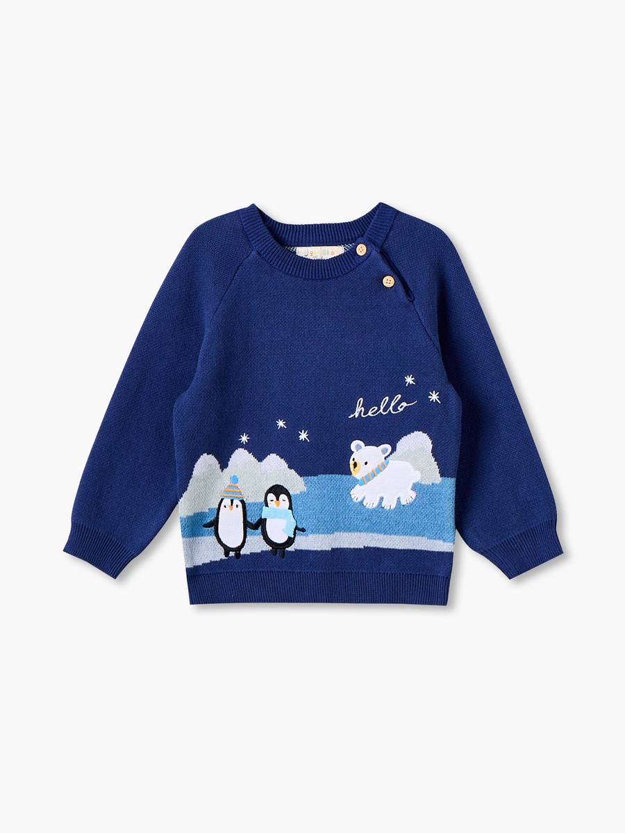 Crew Neck Long Sleeves Sweater and Pants Set with Penguin Applique