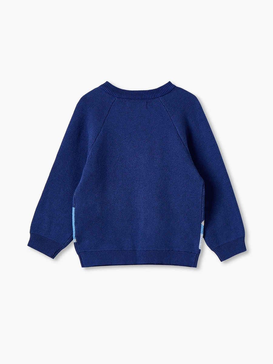 Crew Neck Long Sleeves Sweater and Pants Set with Penguin Applique