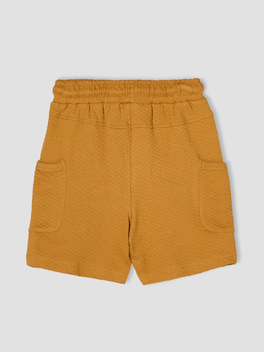 Collared Short Sleeves T-Shirt and Shorts Set with Textured Design