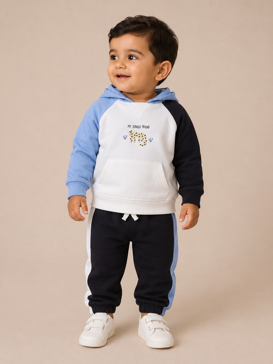 Baby Boys Color Block Hoodie and Joggers Set