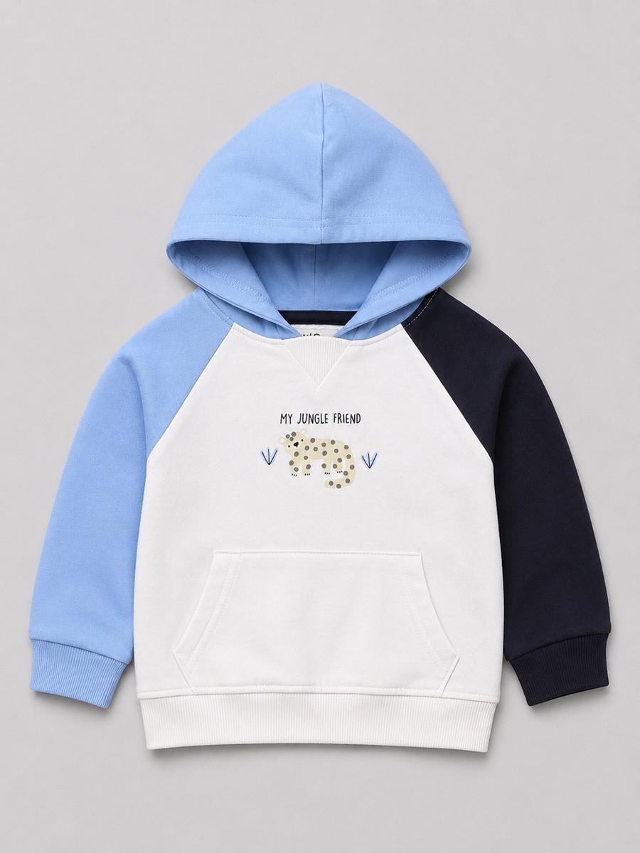 Baby Boys Color Block Hoodie and Joggers Set
