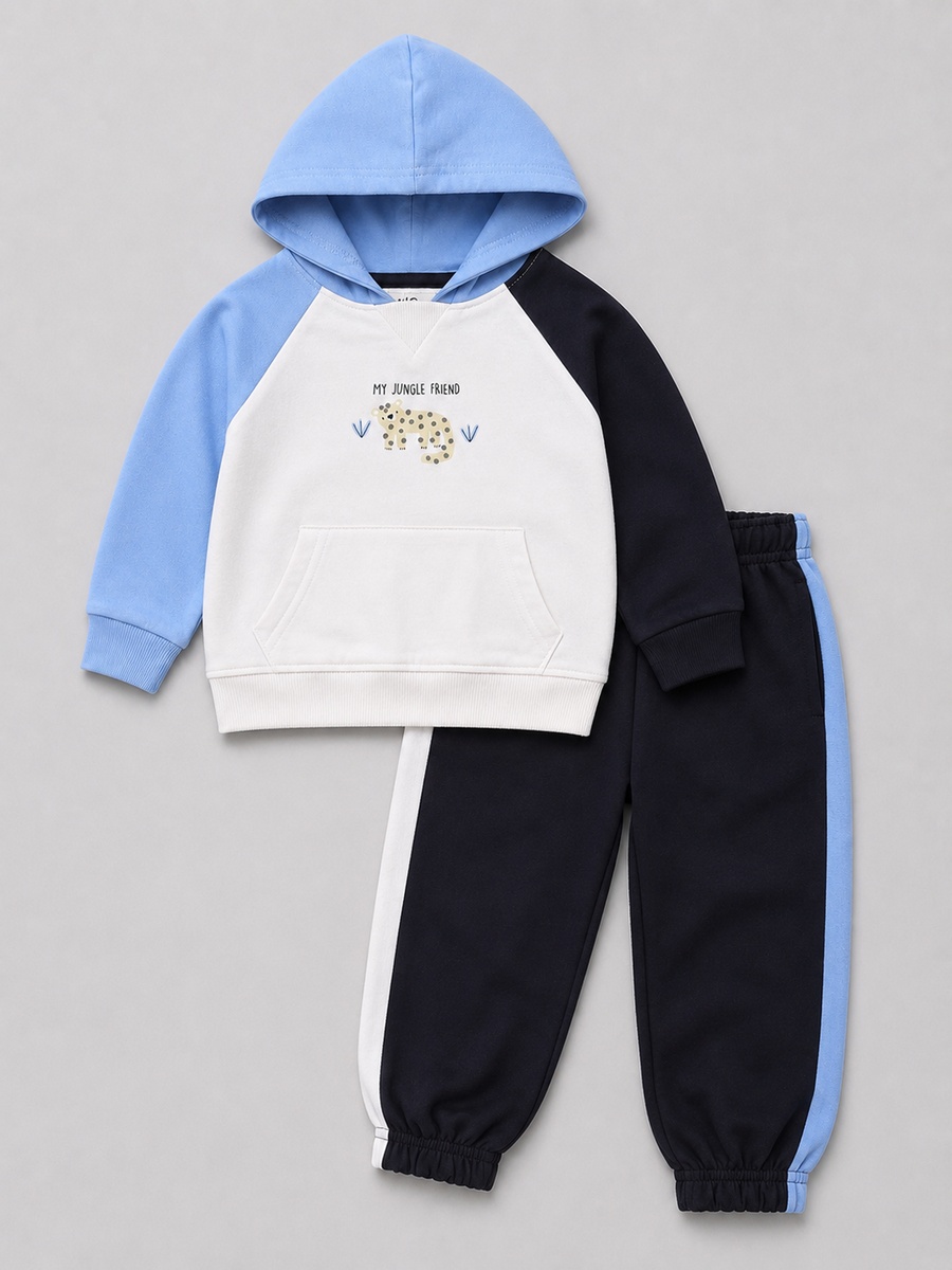 Baby Boys Color Block Hoodie and Joggers Set