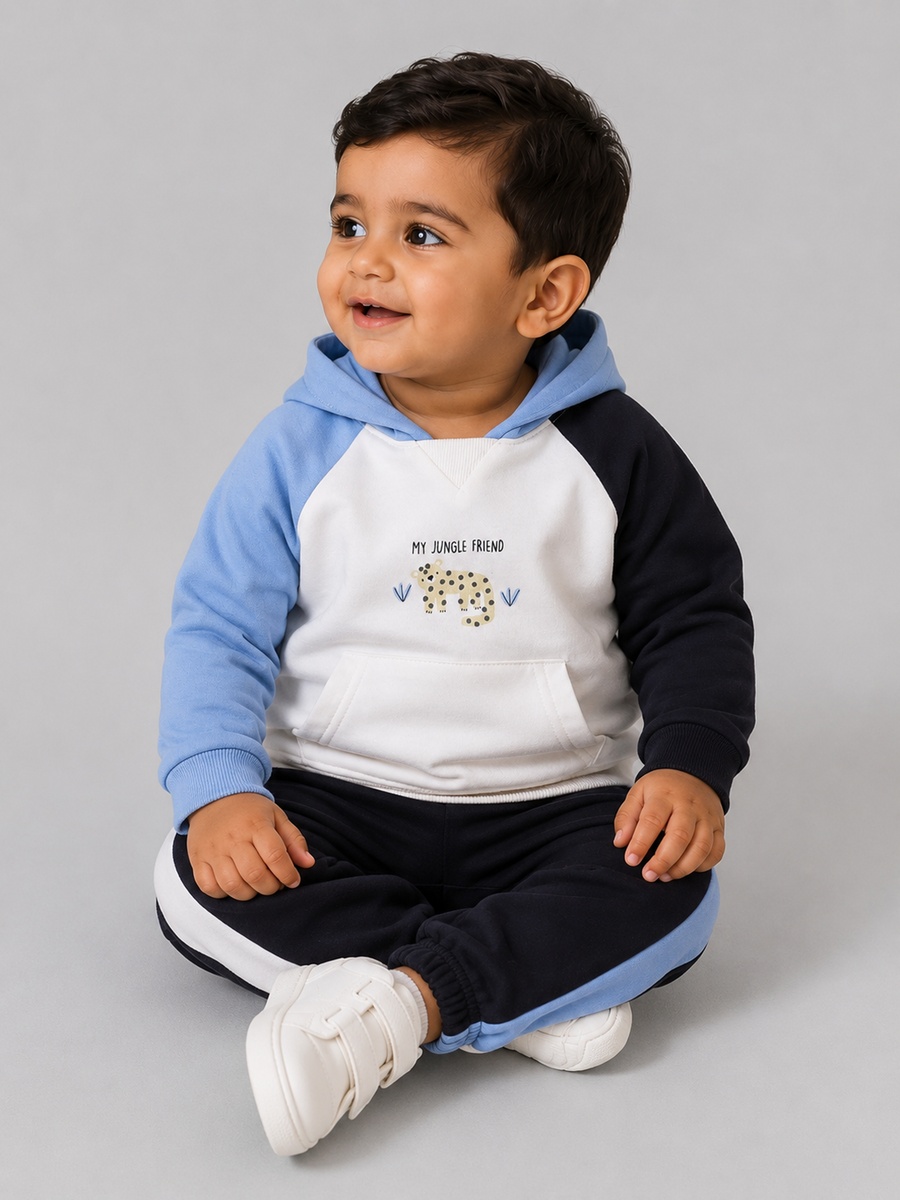 Baby Boys Color Block Hoodie and Joggers Set