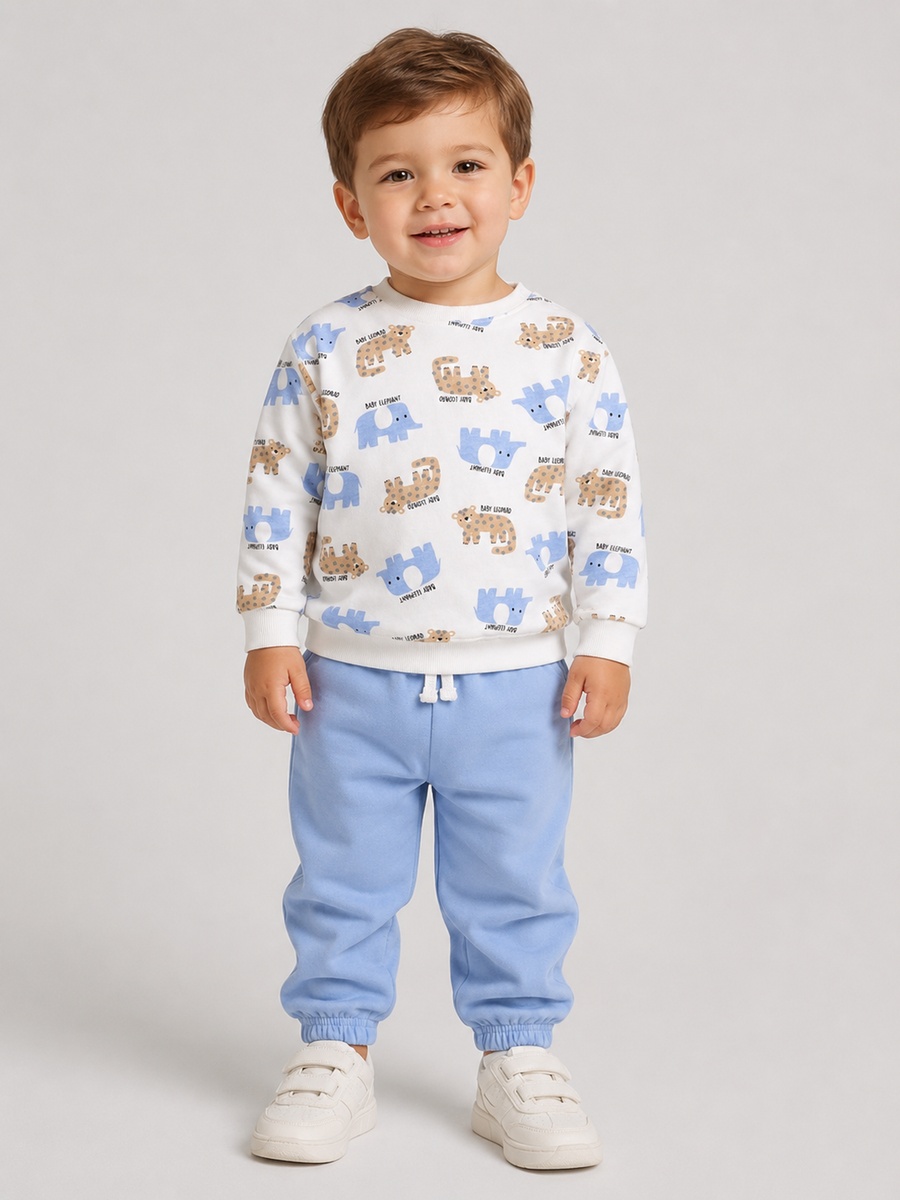 Baby Boys Printed Sweatshirt and Joggers Set
