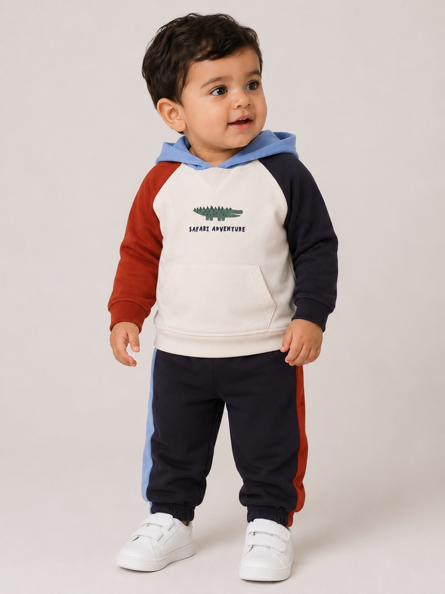 Baby Boys Color Block Hoodie and Joggers Set