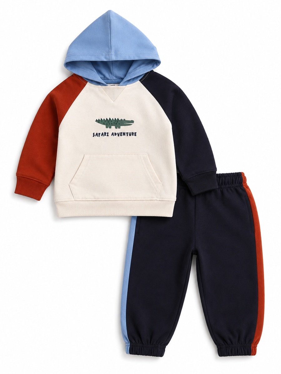 Baby Boys Color Block Hoodie and Joggers Set
