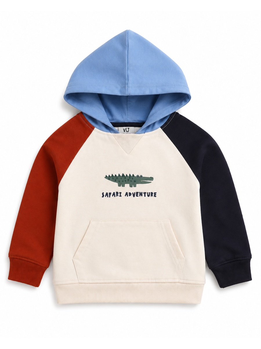 Baby Boys Color Block Hoodie and Joggers Set