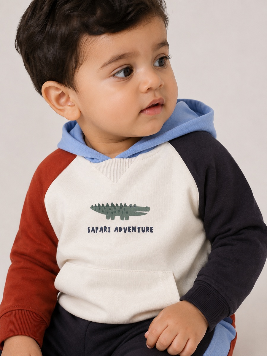 Baby Boys Color Block Hoodie and Joggers Set