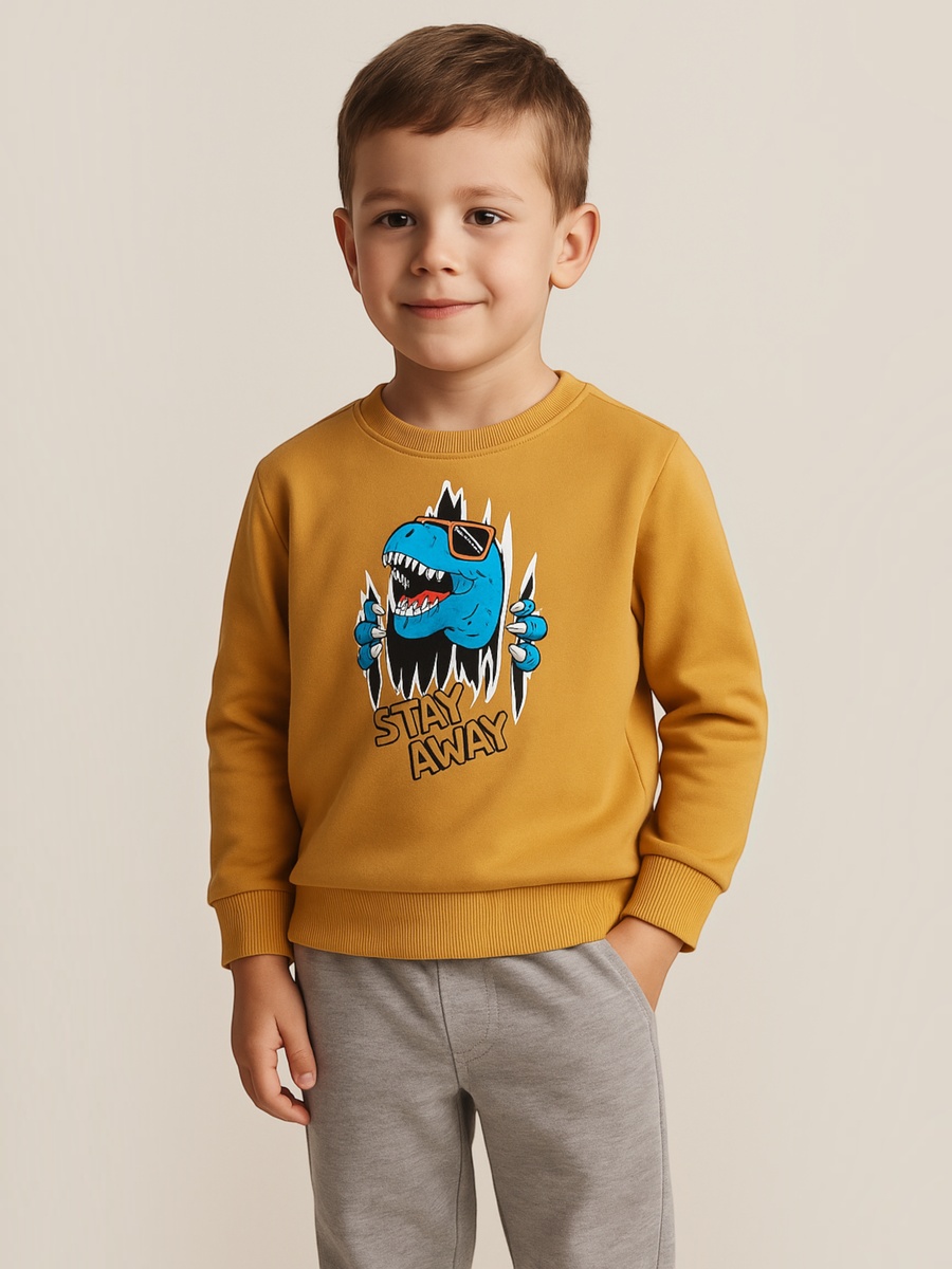 Boys Mustard Dino Graphic Sweatshirt