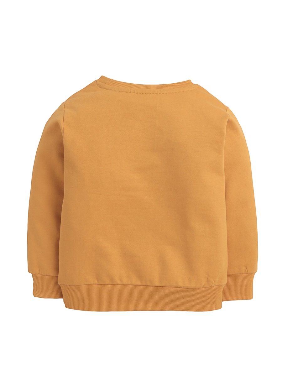 Boys Mustard Dino Graphic Sweatshirt
