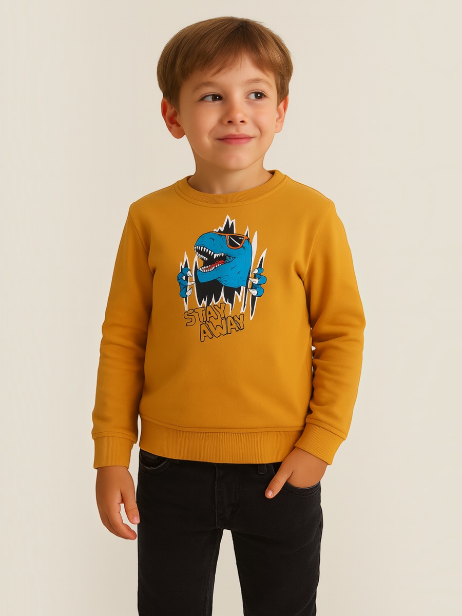 Boys Mustard Dino Graphic Sweatshirt