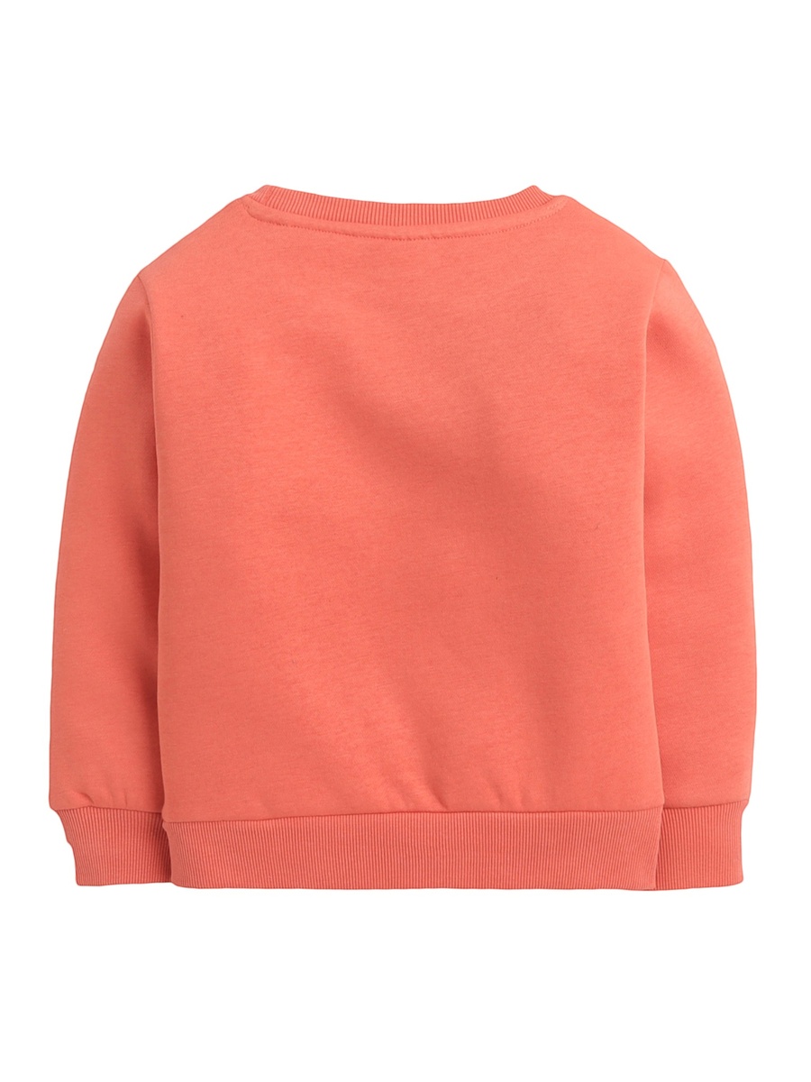 Boys Coral Skate All Day Graphic Sweatshirt