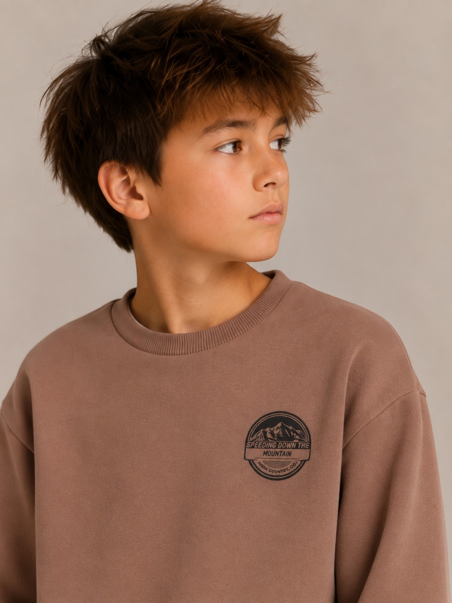 Boys Sweatshirt and Joggers Set