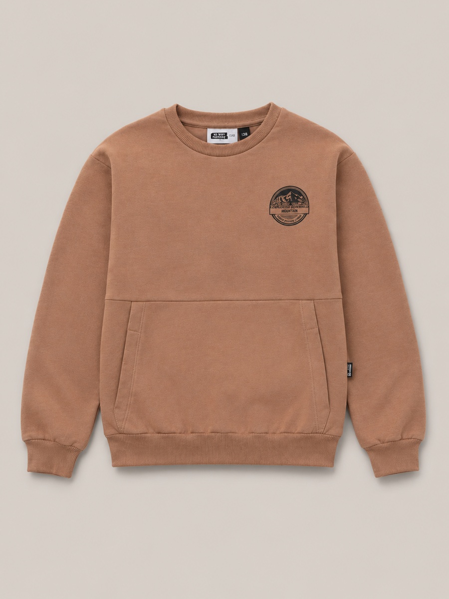 Boys Sweatshirt and Joggers Set