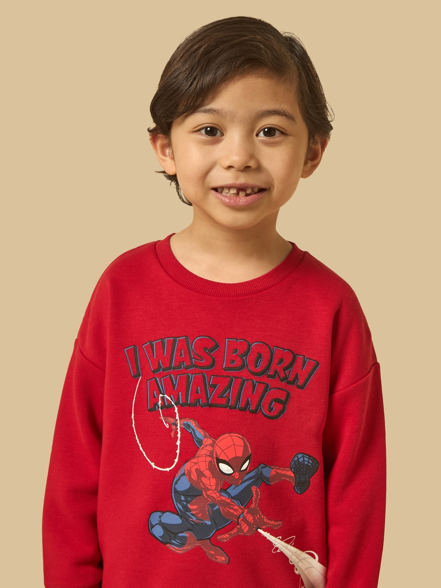 Spider-Man Print Sweatshirt
