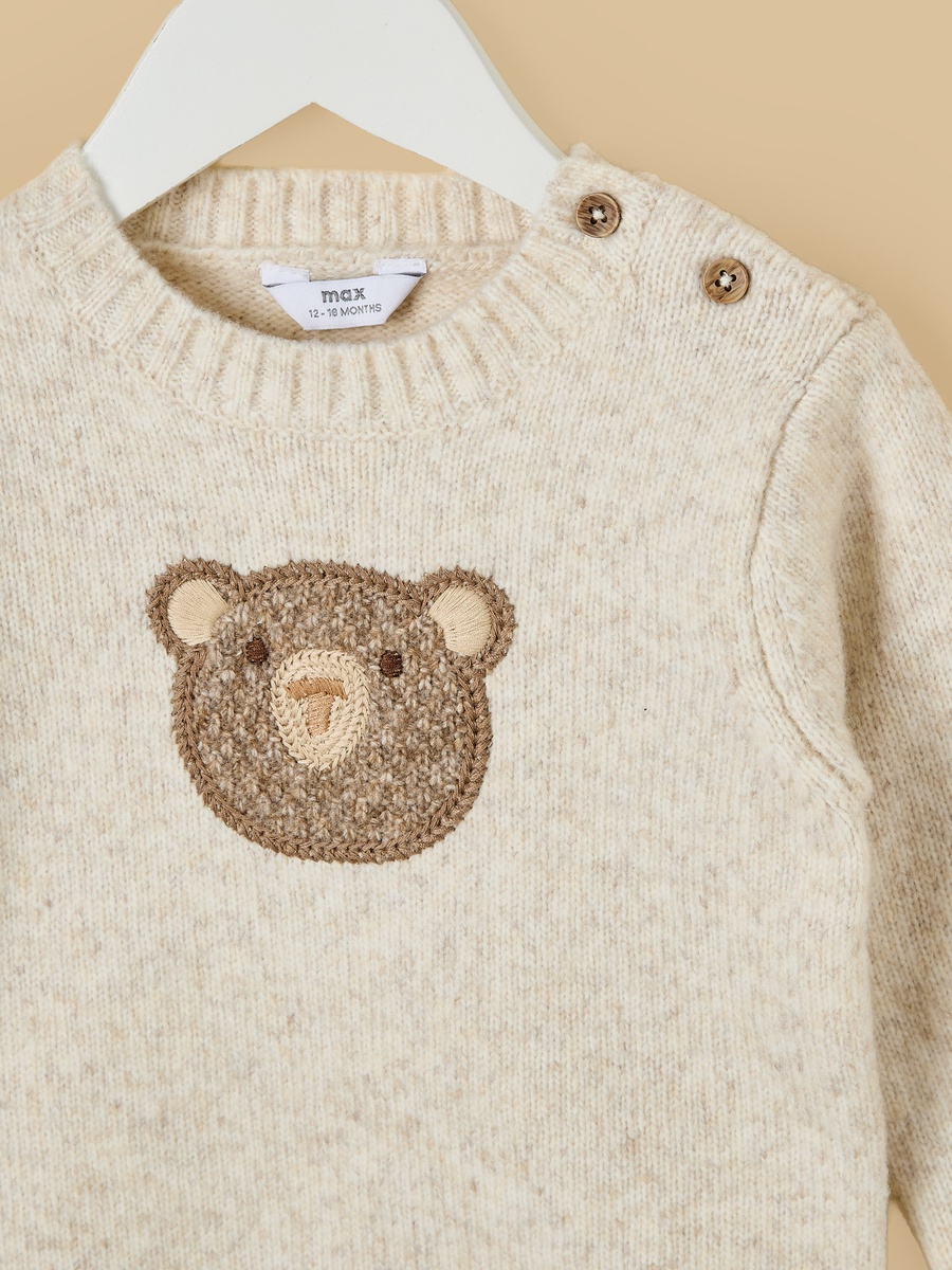Bear Applique Sweater and Pants Set