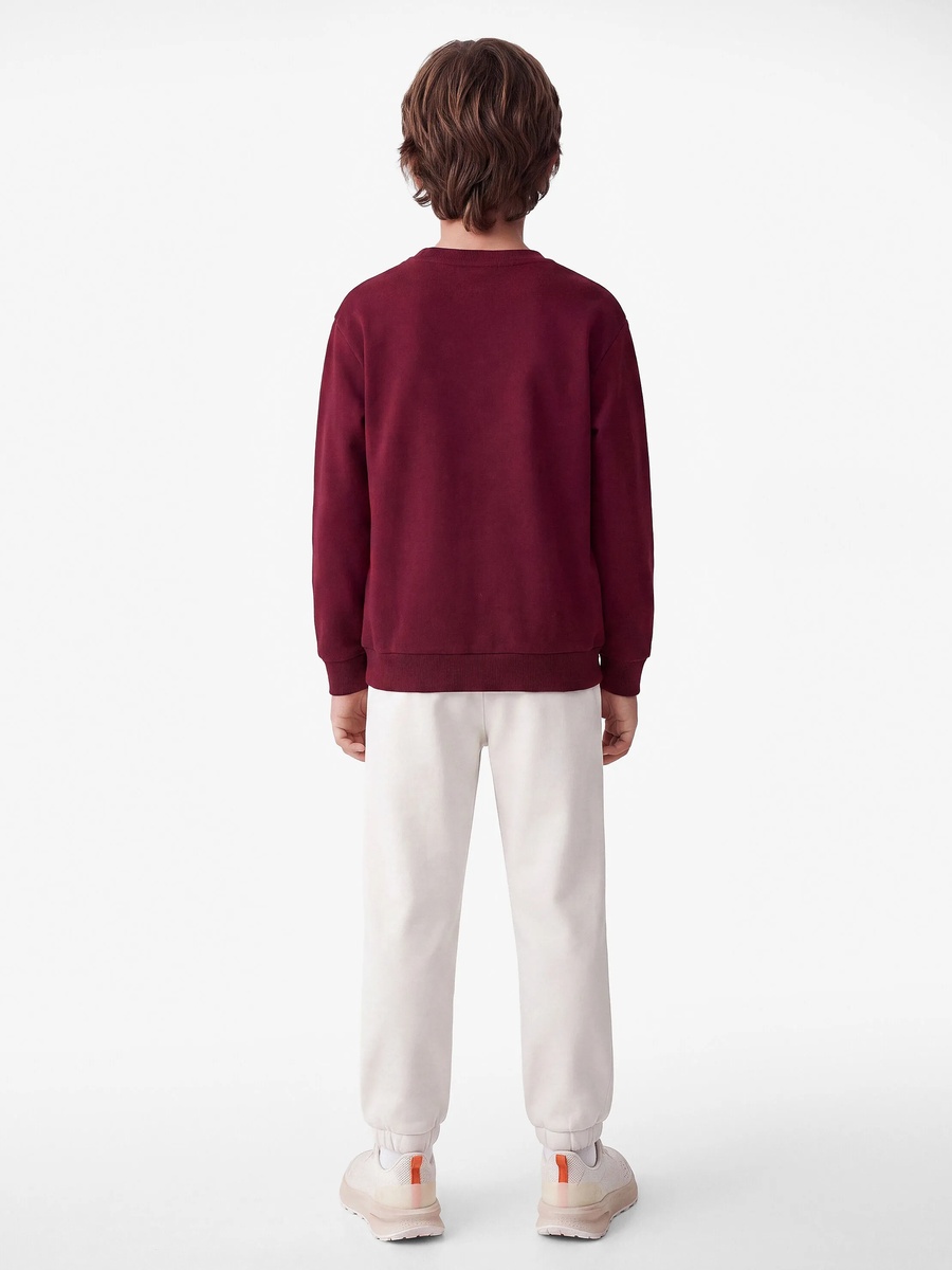 Boys Burgundy Cotton NY Print Sweatshirt