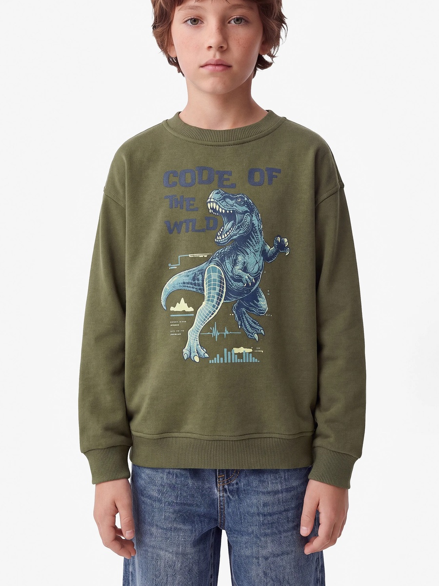 Boys Khaki Cotton Dinosaur Print Sweatshirt