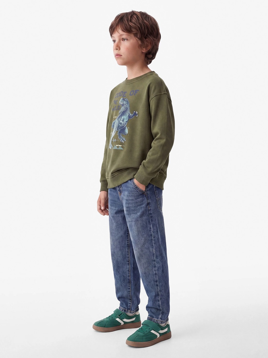Boys Khaki Cotton Dinosaur Print Sweatshirt