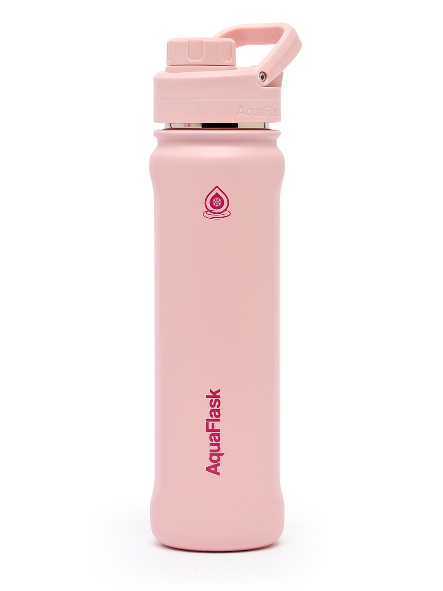 Solid Stainless Steel Water Bottle with Handle - 650 ml