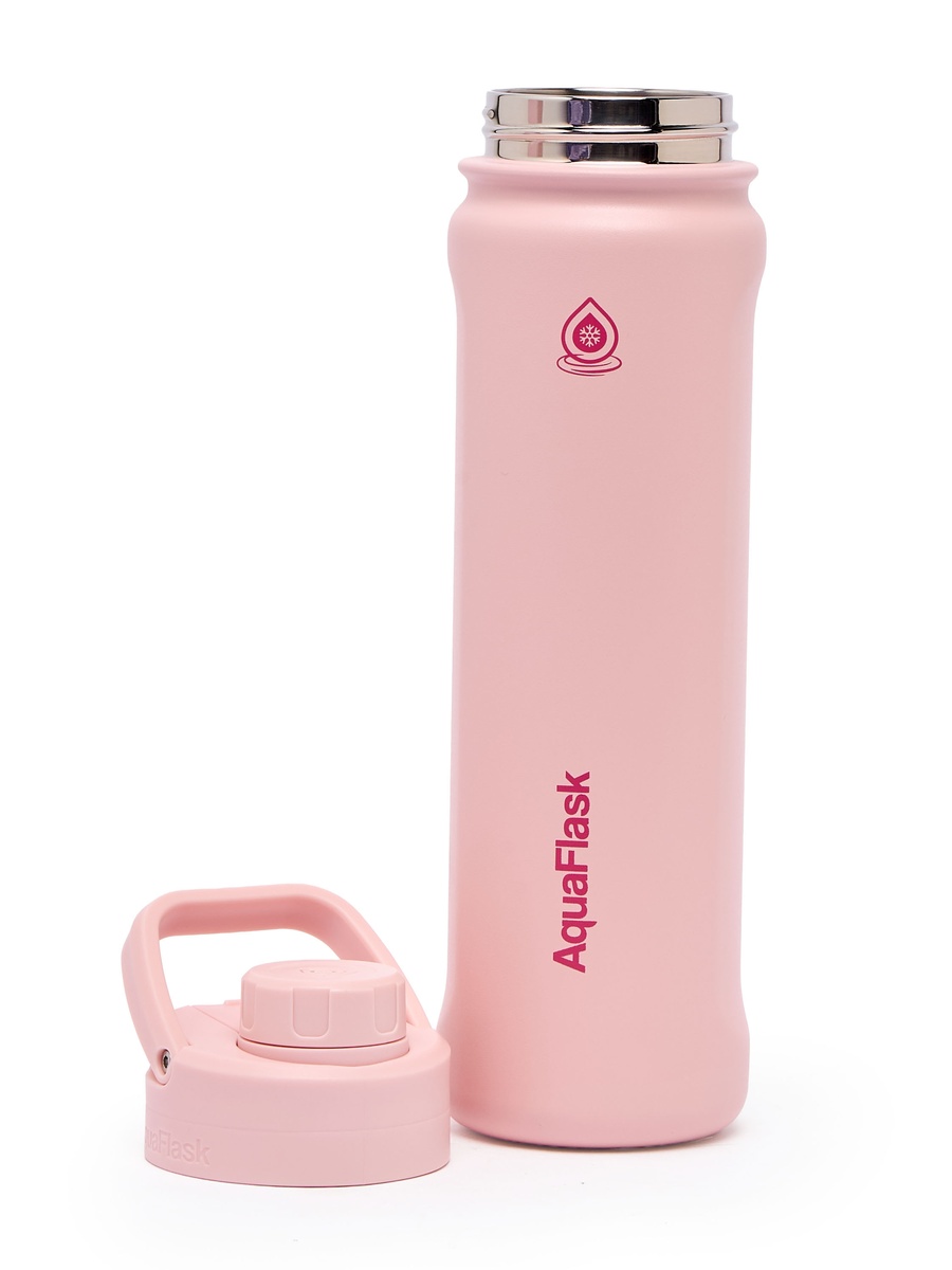 Solid Stainless Steel Water Bottle with Handle - 650 ml