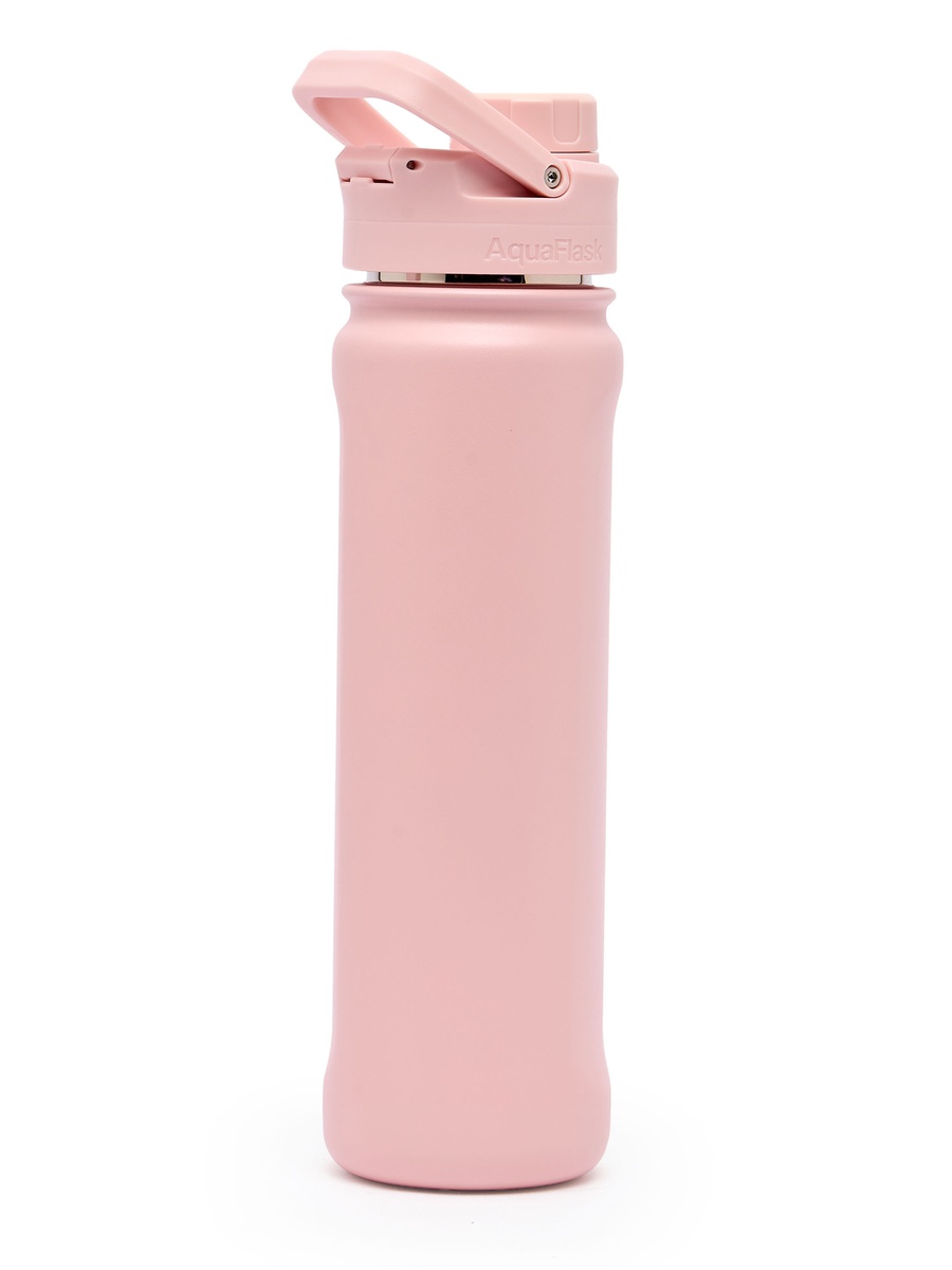 Solid Stainless Steel Water Bottle with Handle - 650 ml