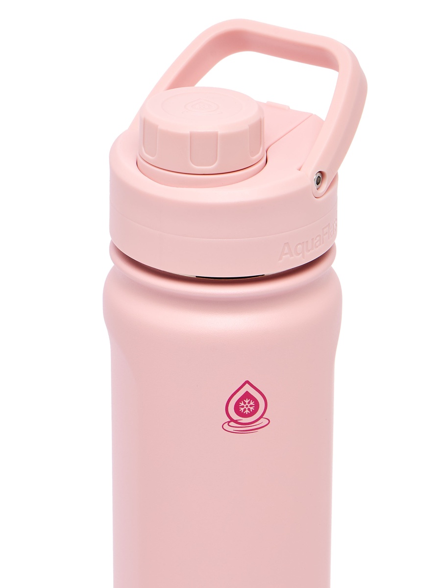 Solid Stainless Steel Water Bottle with Handle - 650 ml
