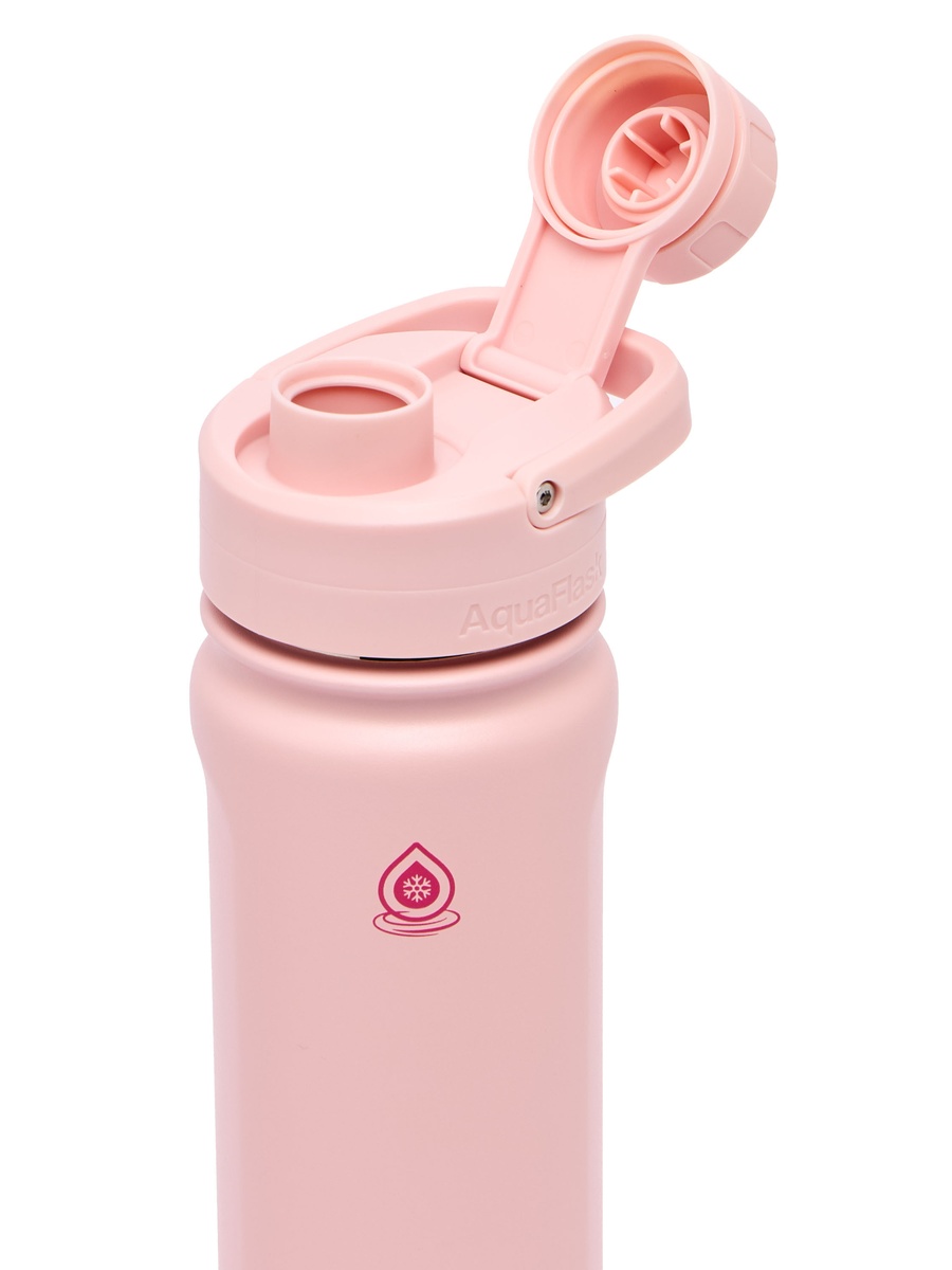 Solid Stainless Steel Water Bottle with Handle - 650 ml