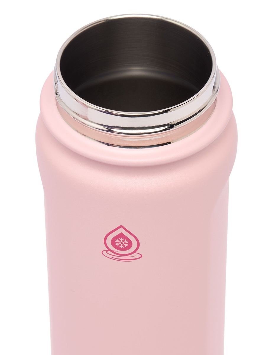 Solid Stainless Steel Water Bottle with Handle - 650 ml
