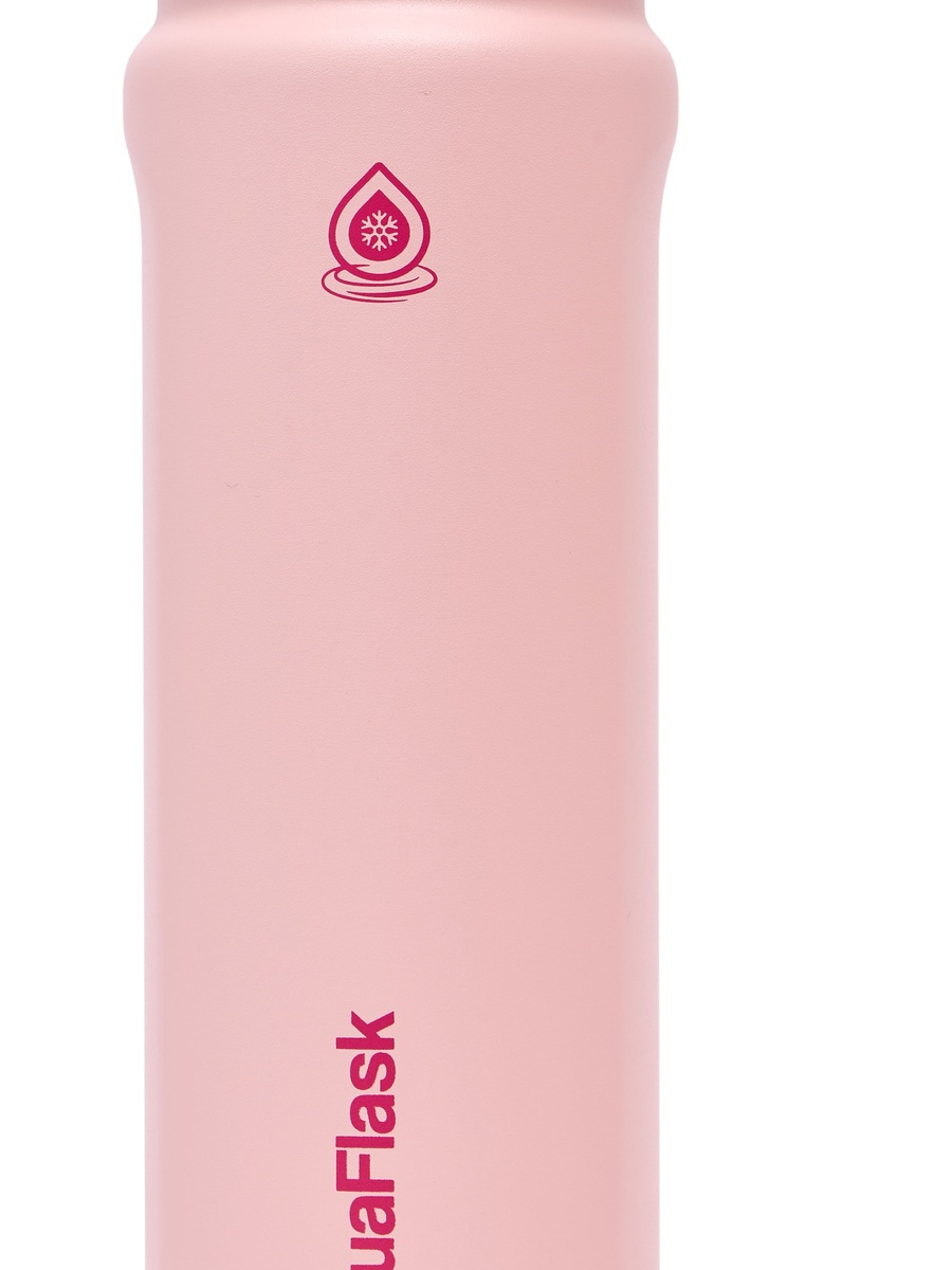 Solid Stainless Steel Water Bottle with Handle - 650 ml