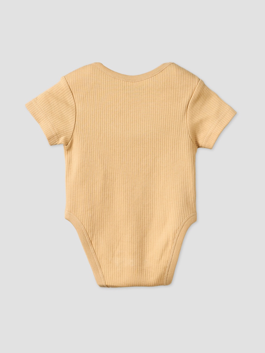 Pack of 2 Round Neck Bodysuit with Food Print