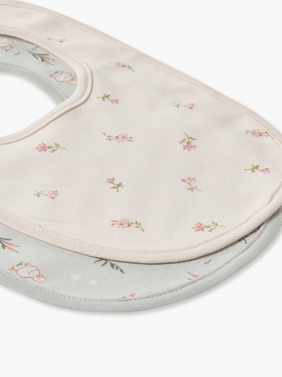 Pack of 2 Baby Bib with Botanical Print